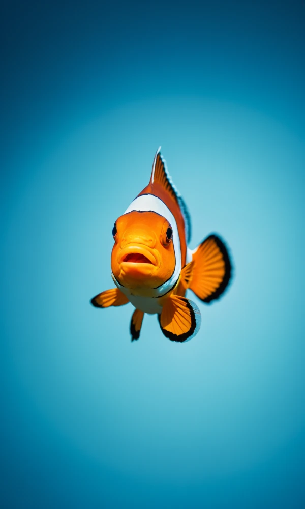 Минималистичный стиль изображения силуэта рыбки-клоуна на синем фоне, плавающей в голубых глубинах.